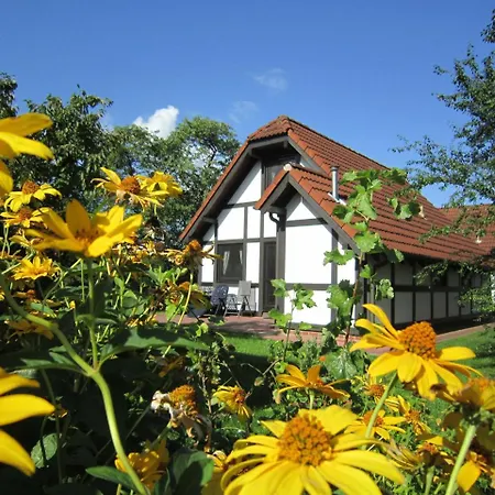 Deichgraf 86 Im Feriend * Bachenbrock