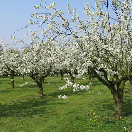 Deichgraf 86 Im Feriend * Bachenbrock