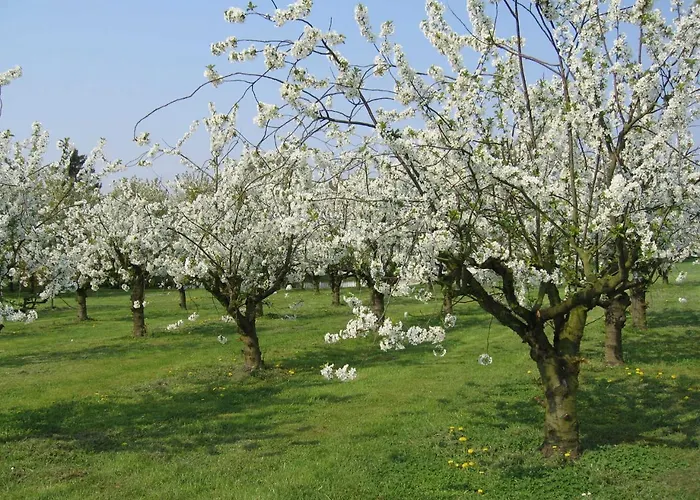 Deichgraf 86 Im Feriend * Bachenbrock